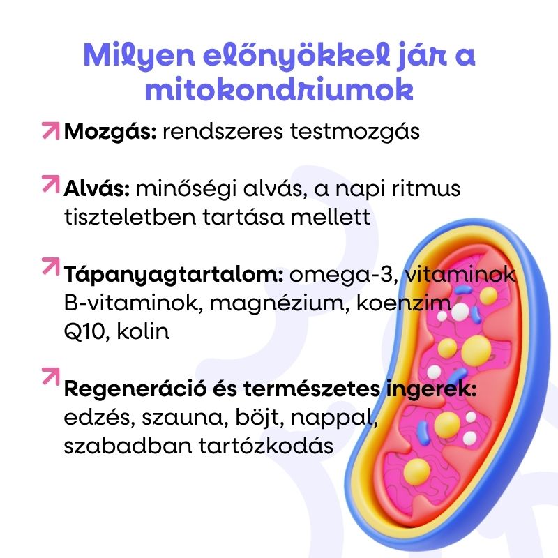 (Maďarština) (26)